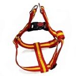 Guía Completa: Encontrando las Mejores Botas de Fútbol Talla 9.5 en España Guía Completa: Encontrando las Mejores Botas de Fútbol Talla 9.5 en España